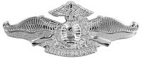 Corpsman HM FMF Insignia
