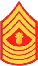E9 Master Gunnery Sergeant Small 177x300