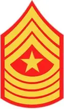 E9b Sergeant Major Small 177x300