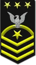 E9c Master Chief Petty Officer Of The Navy Small 169x300