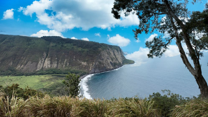 Navy nurse stationed in Hawaii