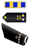 W2 Chief Warrant Officer 2 Small 196x300