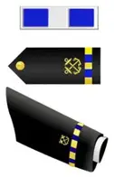 W3 Chief Warrant Officer 3 Small 194x300