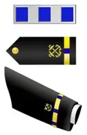 W4 Chief Warrant Officer 4 Small 195x300
